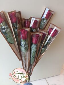 زهرة واحدة 1 – مغلفة