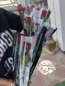 زهرة واحدة 2 – مغلفة