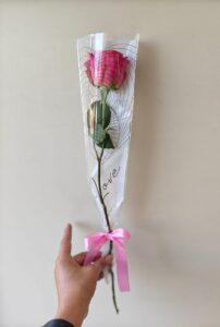 Dark pink Single Rose
