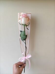 Pink Single Rose